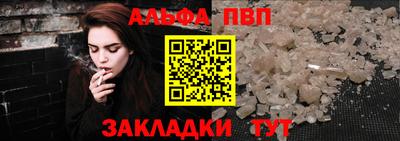 дмт Кингисепп