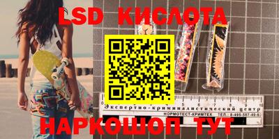 дмт Кингисепп