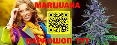 сатива Кинель