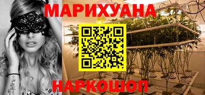 дмт Кингисепп