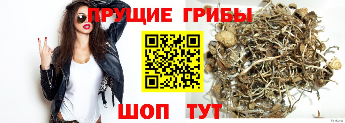 где купить наркотик  Галлюциногенные грибы мицелий  Вход с VPN  Галлюциногенные грибы MAGIC MUSHROOMS  Лангепас 
